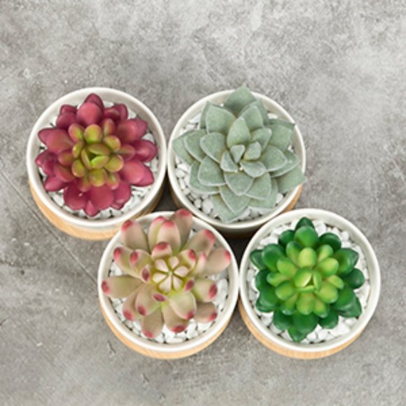 Other - *SOLD* Ceramic Succulent Pots with Bamboo Trays